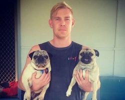 Friend Returns His Lost Pug, But When He Pets Her, She Seems Different