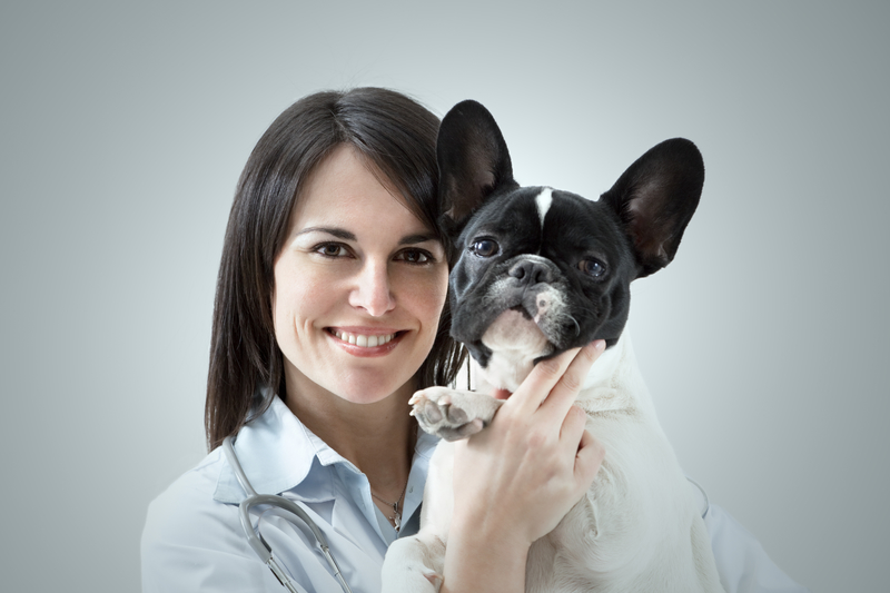 woman holding a Frenchie