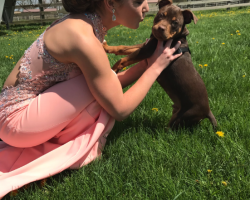 Girl Hoping for a Glamorous Photo with Rambunctious Puppy Gets THIS Instead