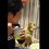 (Video) This Doggy Clearly Wants Food But is too Proud to Beg. Now Keep Eyes On His Head When Dad Looks His Way…