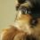 These Top 10 Yorkie Videos Are too Presh. The Yorkie at 1:34 Has Stolen My Heart!