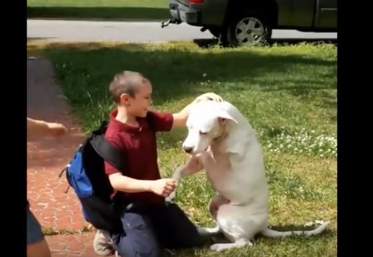 kids and pooch