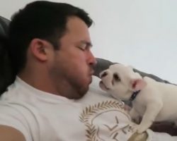 (Video) This Dad’s Relationship With His Frenchie is Sooo Sweet. Watch How They ‘Communicate’ – Too Precious!