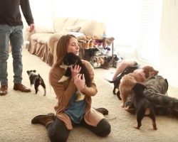 (Video) Husband Wins Best Husband of the Year Award by Surprising His Wife With a House Full of… PUPPIES!