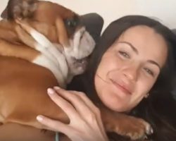 (Video) There’s No Doubt About it, This Pooch LOVES His Mommy. Just Watch This!