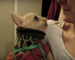 (Video) Did This Doggy Just Say What We Think He Said?! Just Listen: