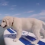 (Video) Golden Retriever Puppy Tries His Paw at Paddleboarding – So Cute!