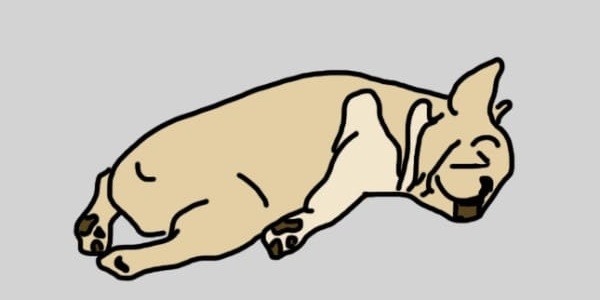 dog sleeping on tummy