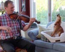 (Video) Man Take Out a Fiddle – Now Keep Eyes on the Dog!