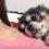 (Video) Doggy Has Special Way of Sleeping With Mom That’s Making Everyone Jealous