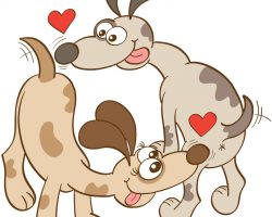 Why it’s Actually Really Important to Allow a Dog to Sniff the Other Dog’s Butt