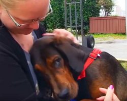 (Video) Chained Without Any Contact, When Someone Finds Her, Her Eyes Say it All