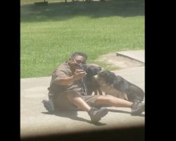 (Video) Mom Looks Outside and Catches the UPS Guy Doing THIS With Her Dogs