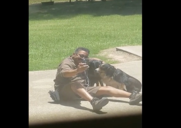 ups man with dogs