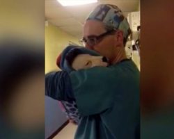 (Video) After a Puppy Wakes up From Anesthesia, This Surgical Assistant Knows Just What to Do