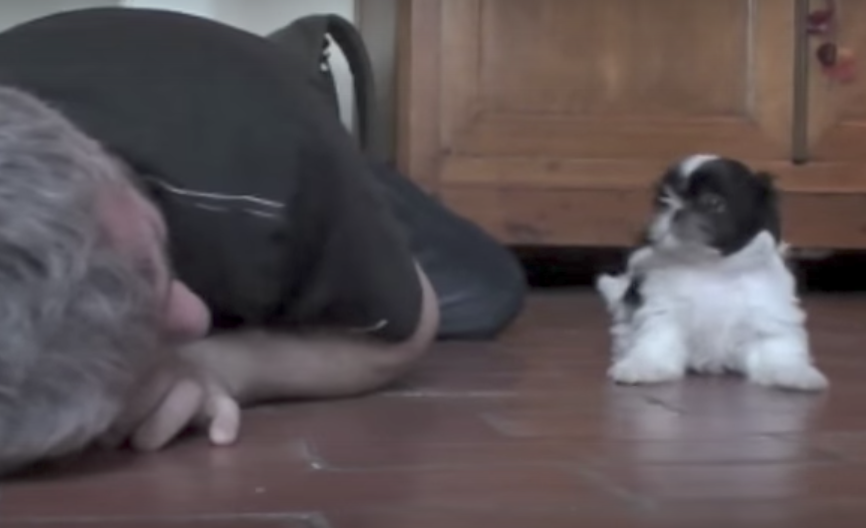 man with small puppy