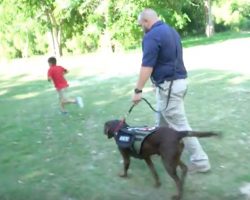 (Video) Veteran’s Life is Forever Changed by His Service Dog, Merrick