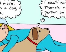 7 Dog Comics Dog Owners Can Totally Relate To