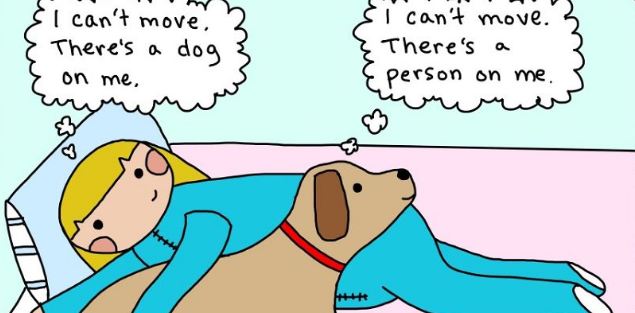 can't move dog comic