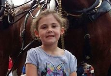 Dad Takes a Picture of His Little Girl by a Horse, Then Takes a Second Look and Can’t Stop Laughing