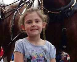 Dad Takes a Picture of His Little Girl by a Horse, Then Takes a Second Look and Can’t Stop Laughing