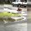 Mom Steps Outside to Check Hurricane Harvey Damage, Then Sees a Dog Carrying Large Bag Of Food