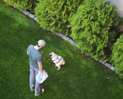 Why a Dog Takes so Long to Decide Where to Poop